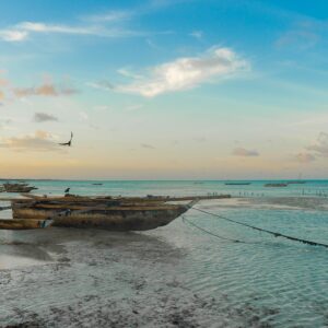 africa, zanzibar, beach-5135407.jpg