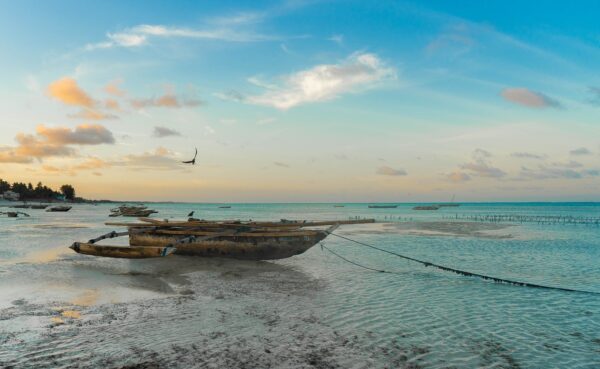 africa, zanzibar, beach-5135407.jpg