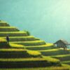 agriculture, rice plantation, thailand-1807581.jpg