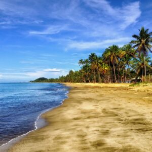 beach, sand, palm trees-293826.jpg