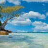beach, sea, sand-4852830.jpg