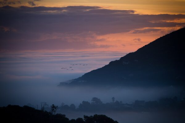 birds, sunset, clouds-5101153.jpg