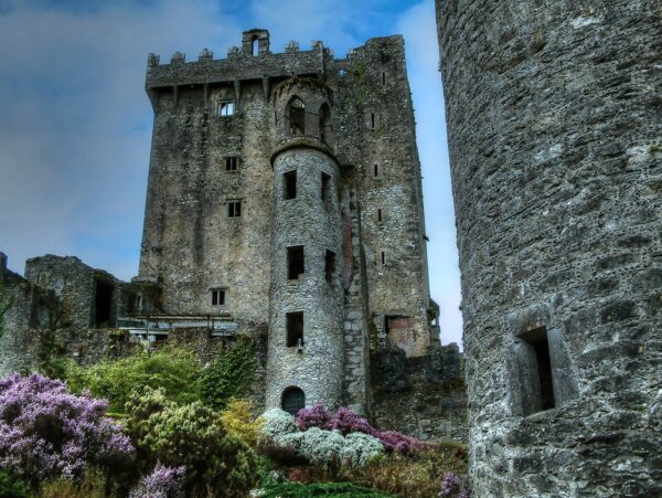 castle, ruins, ancient-2695680.jpg