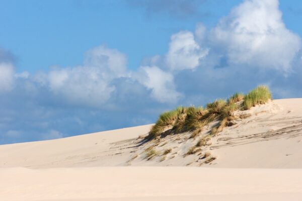 dunes, sand dunes, poland-3580662.jpg