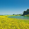 hd wallpaper, farming, agriculture-169927.jpg