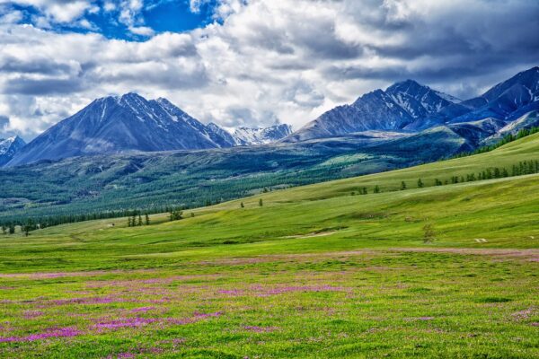 landscape, mongolia, the russian border mountains-2457170.jpg