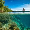 landscape, underwater, on the water surface-2265897.jpg