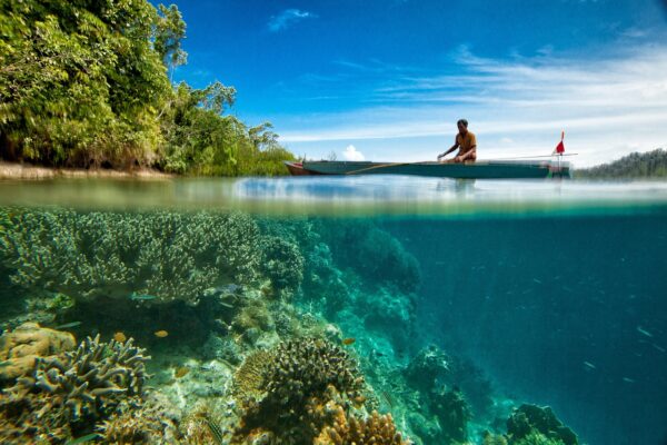 landscape, underwater, on the water surface-2265897.jpg