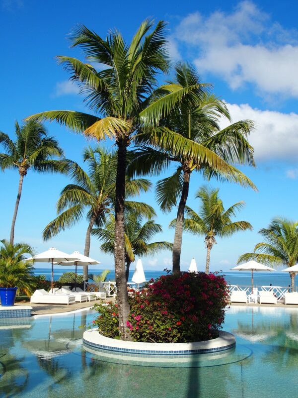 mauritius, pool, summer-1280587.jpg