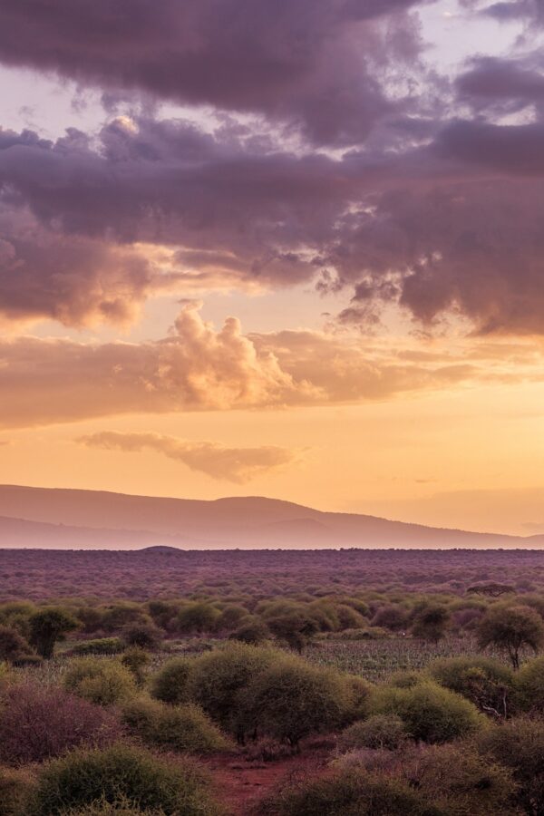 mount kilimanjaro, mountain, mount-7287226.jpg