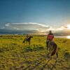 nomadic children, sunset, horse-2389829.jpg