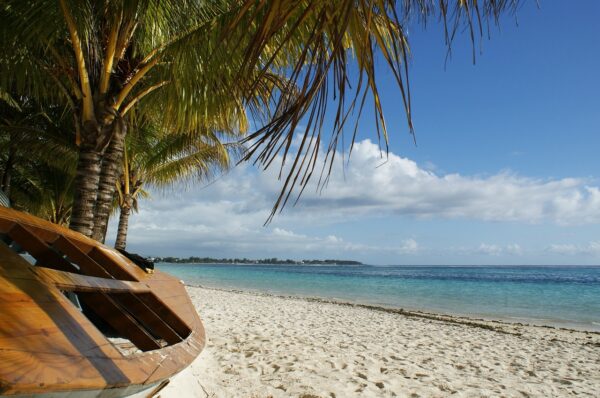 ocean, boat, palm tree-829715.jpg