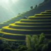 rice plantation, thailand, rice-1822444.jpg