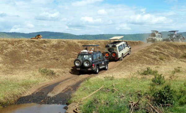 safari, watching game, jeep-1845202.jpg