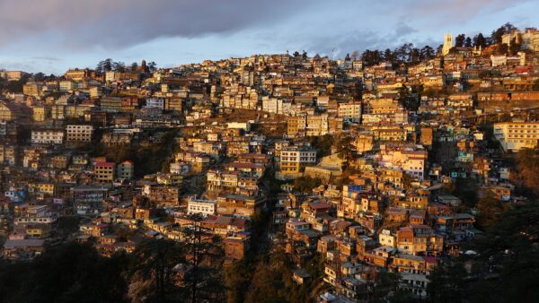 shimla, himachal, temple-4267507.jpg