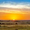 sunset, savannah, kenya-4120824.jpg