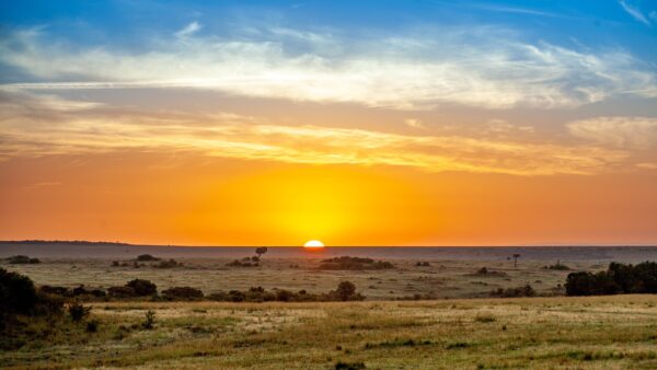 sunset, savannah, kenya-4120824.jpg