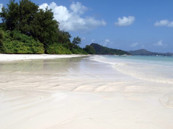 white sand, seychelles, praslin-850483.jpg