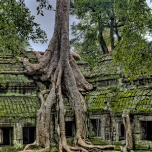 ancient, angkor, angkor wat temples-3773934.jpg