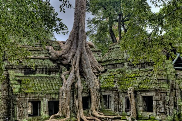 ancient, angkor, angkor wat temples-3773934.jpg