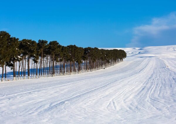 azerbaijan, snow, winter-2048636.jpg