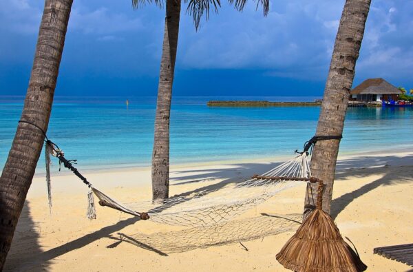 beach, hammock, tropical-1044369.jpg