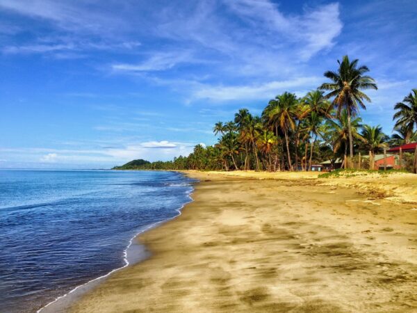 beach, sand, palm trees-293826.jpg