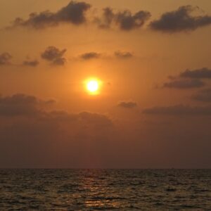 beach, sea, sunset-1331405.jpg