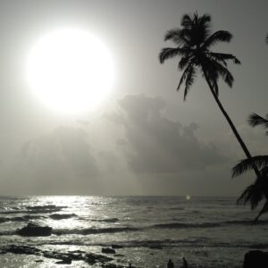 beach, sun, arabian sea-2416143.jpg