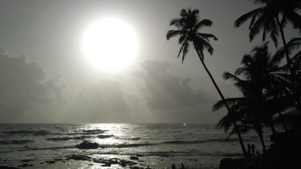 beach, sun, arabian sea-2416143.jpg