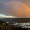 beautiful nature, hd wallpaper, nature background-1467988.jpg