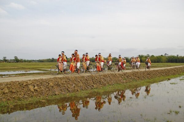 bihu, india, assam-169921.jpg