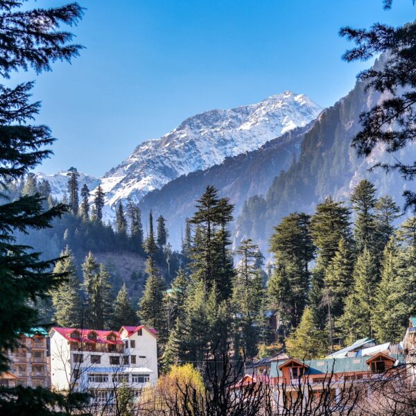 blue sky, wood texture, mountain-3092438.jpg