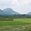 farming, indian, odisha-2681212.jpg