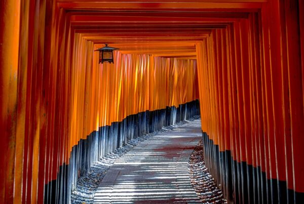 fushimi inari shrine, torii, temple-1886975.jpg