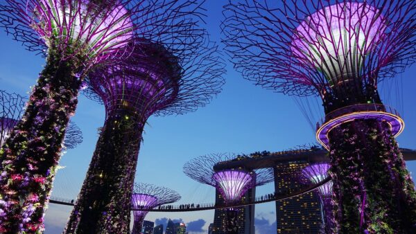 garden by the bay, singapore, night-503897.jpg