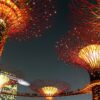 garden by the bay, singapore, night-503916.jpg