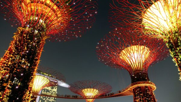 garden by the bay, singapore, night-503916.jpg