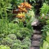garden, green, philippines-72054.jpg