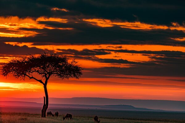 grassland, hills, wildlife-7319834.jpg