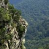 hills, cliff, rainforest-5320260.jpg