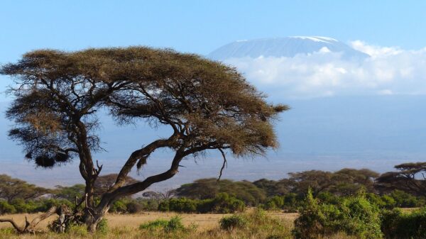 kilimanjaro, mountain, africa-720845.jpg