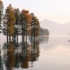 lake, forest, nature-5045059.jpg