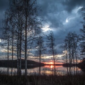 lake, trees, sunset-1365288.jpg