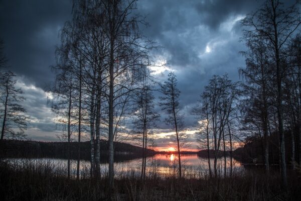 lake, trees, sunset-1365288.jpg