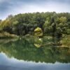 lake, water, nature-987011.jpg