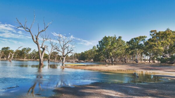 landscape, countryside, lake-2262227.jpg