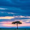 maasai mara, sunset, great rift valley-7446939.jpg