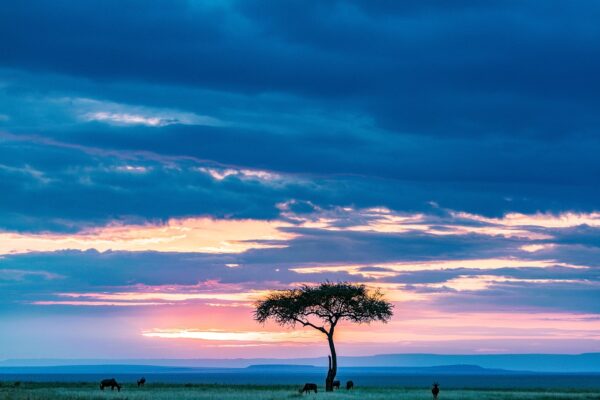 maasai mara, sunset, great rift valley-7446939.jpg