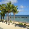 mauritius, holiday, travel-2820633.jpg